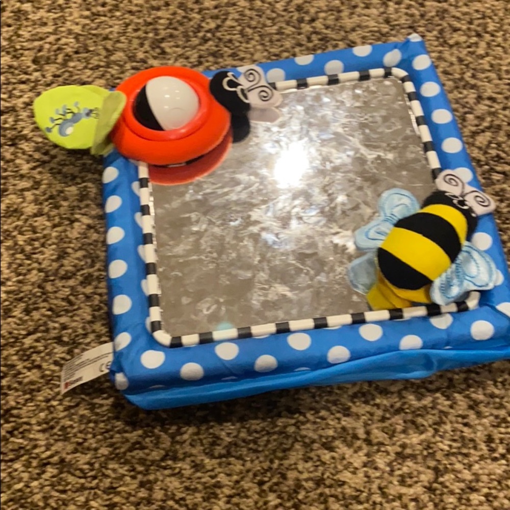 Sassy mirror toy